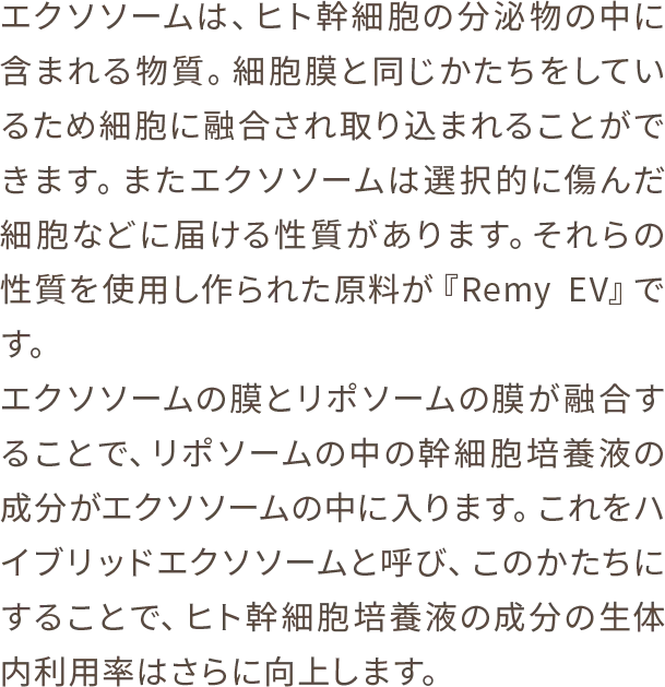 エクソソームは、ヒト幹細胞の分泌物の中に含まれる物質。細胞膜と同じかたちをしているため細胞に融合され取り込まれることができます。またエクソソームは選択的に傷んだ細胞などに届ける性質があります。それらの性質を使用し作られた原料が『Remy EV』です。エクソソームの膜とリポソームの膜が融合することで、リポソームの中の幹細胞培養液の成分がエクソソームの中に入ります。これをハイブリッドエクソソームと呼び、このかたちにすることで、ヒト幹細胞培養液の成分の生体内利用率はさらに向上します。